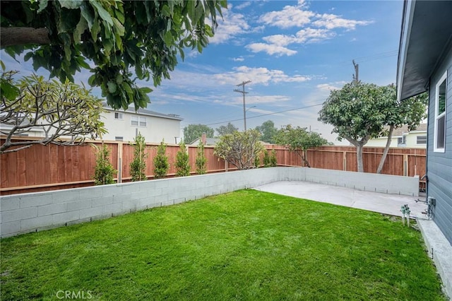 view of yard with a patio