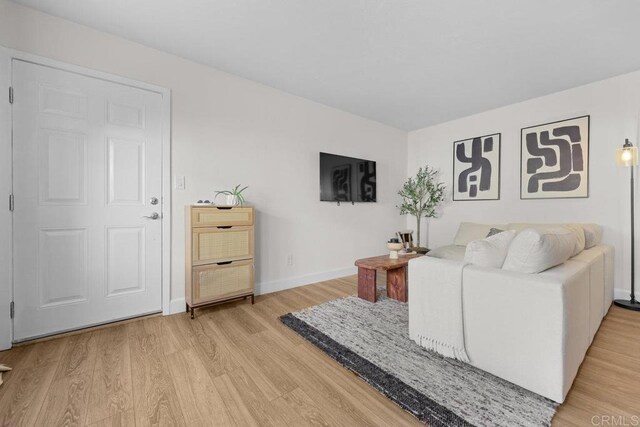 living room featuring light wood-type flooring