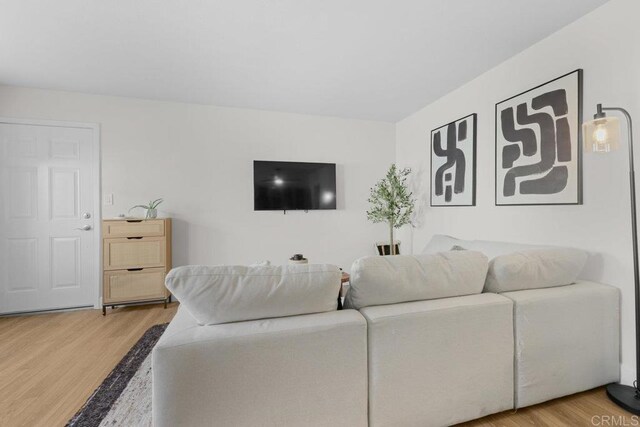 living room featuring hardwood / wood-style floors