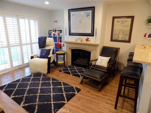 sitting room with wood-type flooring