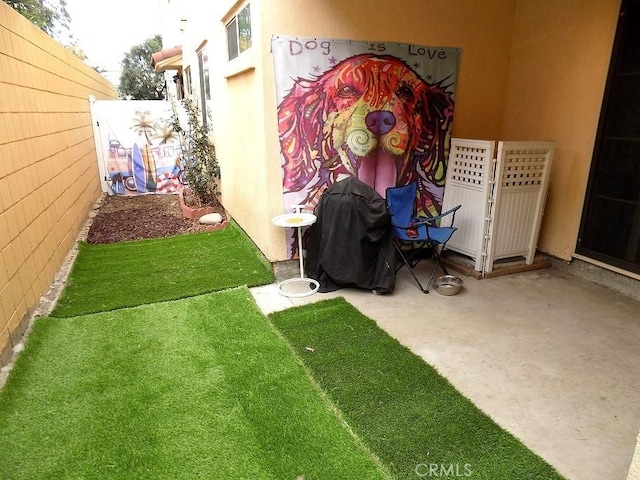 view of yard featuring a patio area