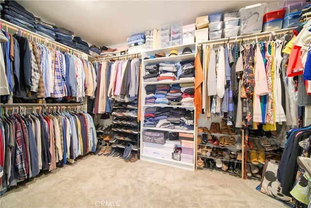 walk in closet with light colored carpet