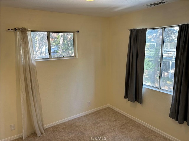 empty room featuring a wealth of natural light and carpet flooring