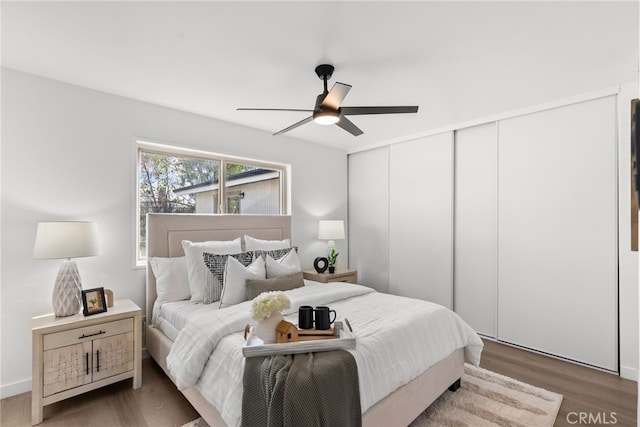 bedroom with ceiling fan and dark hardwood / wood-style floors