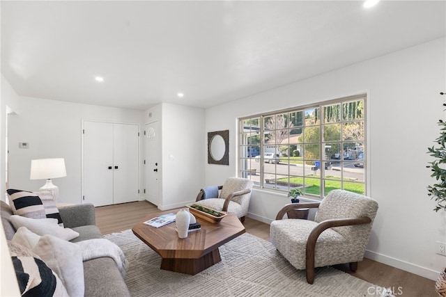 living room featuring light hardwood / wood-style floors