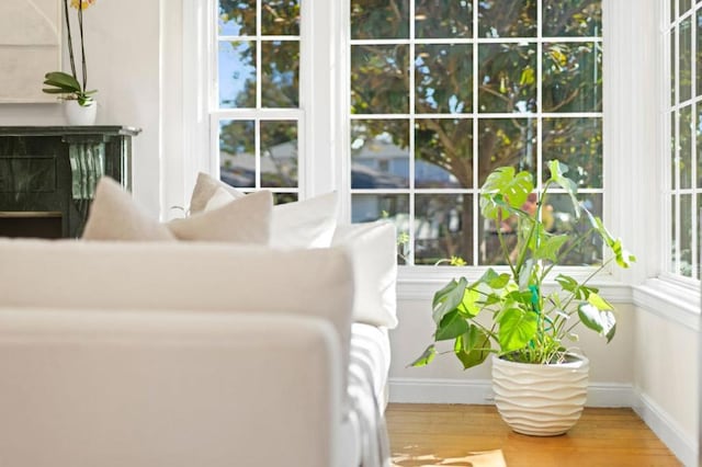 interior space with hardwood / wood-style floors