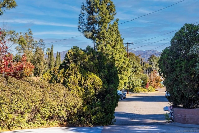 view of road