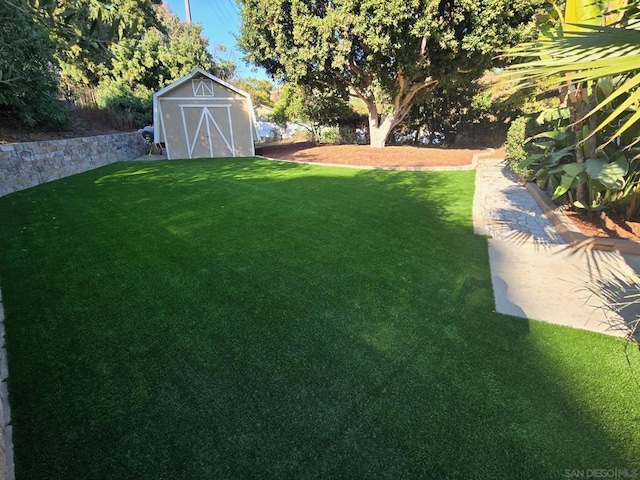 view of yard with a storage shed