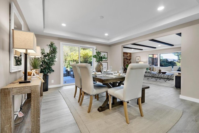 dining room featuring light hardwood / wood-style floors and a tray ceiling