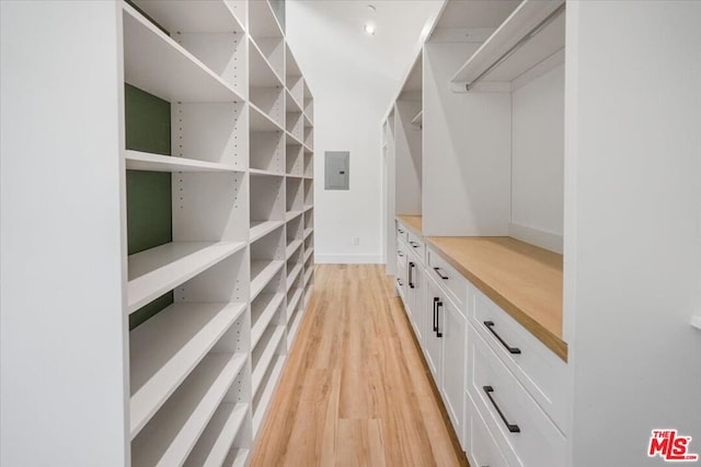 spacious closet with electric panel and light wood-type flooring