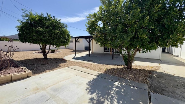 view of yard with a patio area