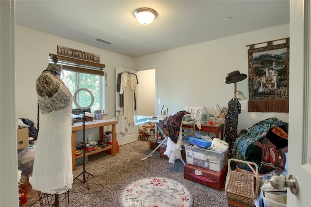 miscellaneous room with carpet floors