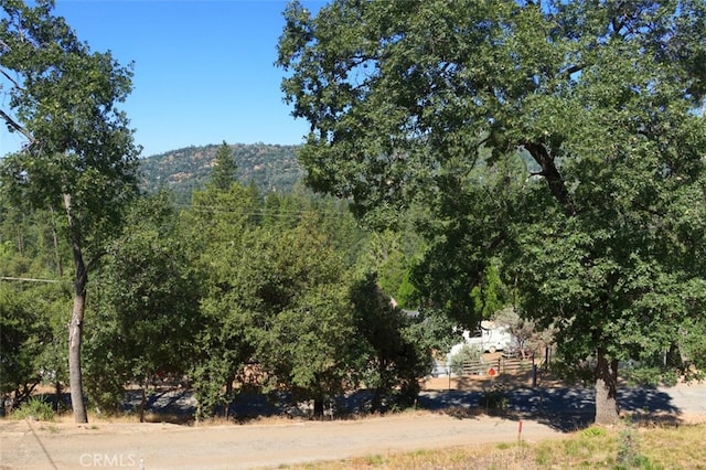 view of landscape featuring a mountain view