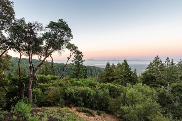 view of nature at dusk