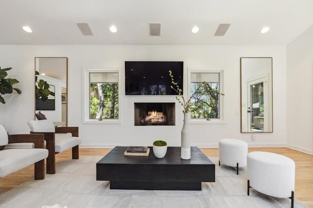 living room featuring light hardwood / wood-style flooring