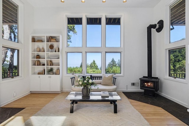 living area featuring hardwood / wood-style flooring, a wood stove, and plenty of natural light