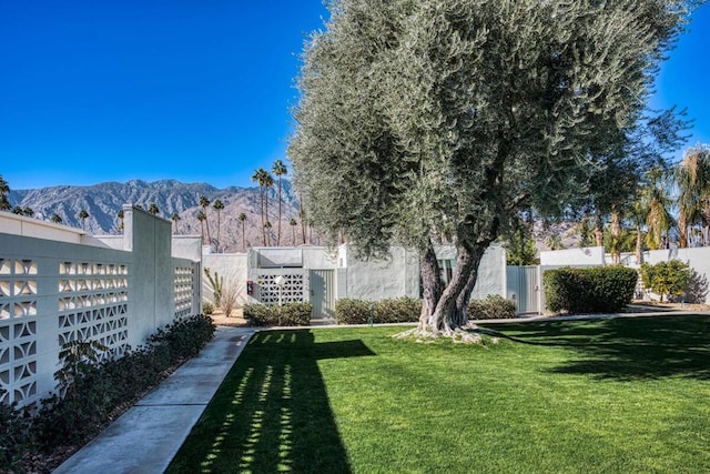 view of yard with a mountain view