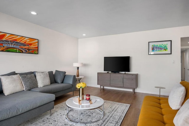 living room featuring wood-type flooring