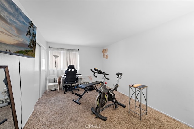 workout area featuring carpet