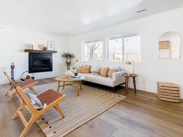 living room featuring wood-type flooring