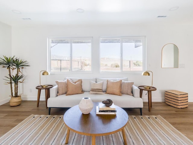 living room featuring hardwood / wood-style flooring