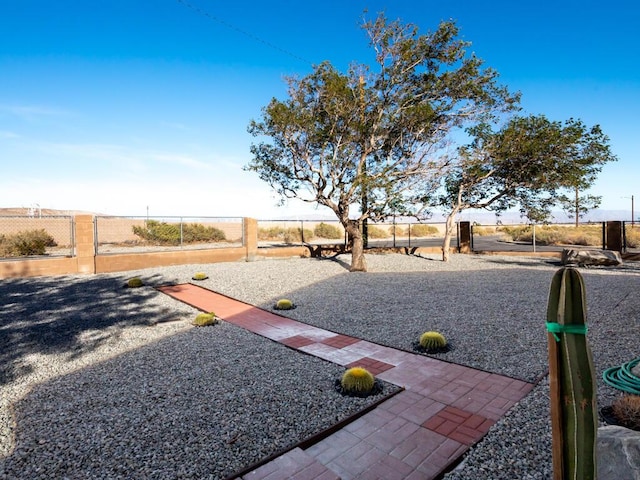 view of yard featuring a patio area