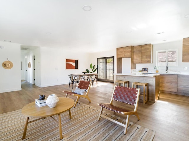 living room with light hardwood / wood-style flooring