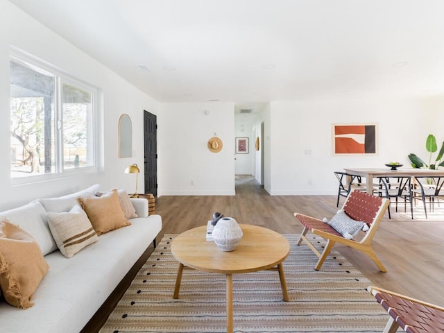 living room with hardwood / wood-style floors