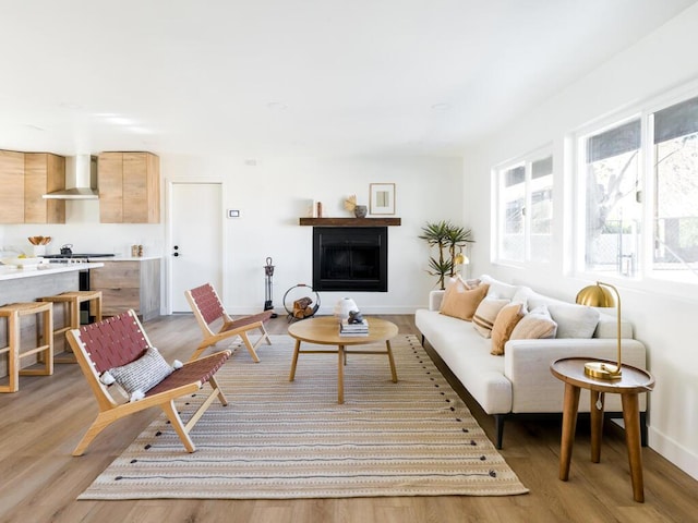 living room with light hardwood / wood-style floors