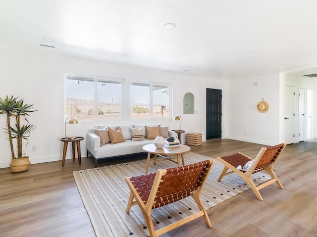 living room with wood-type flooring