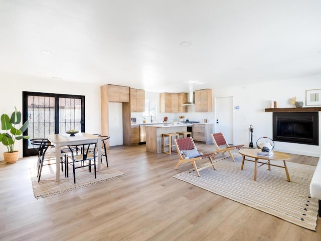 living room featuring sink and light wood-type flooring