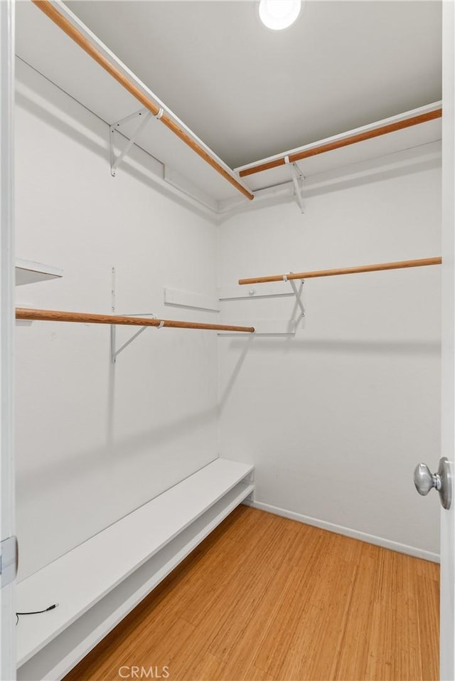 spacious closet featuring wood-type flooring