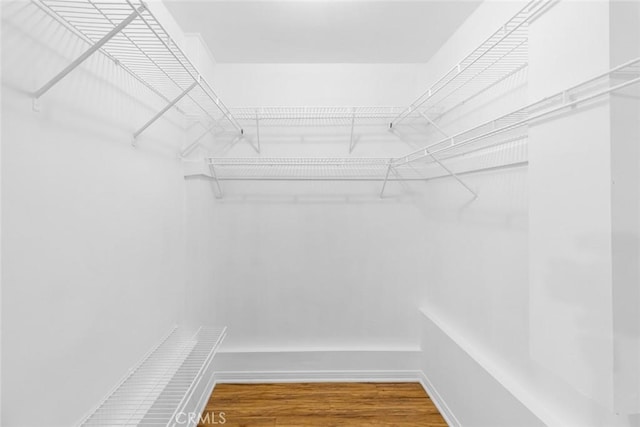 walk in closet with wood-type flooring