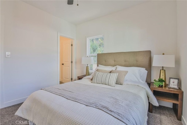 bedroom with carpet floors