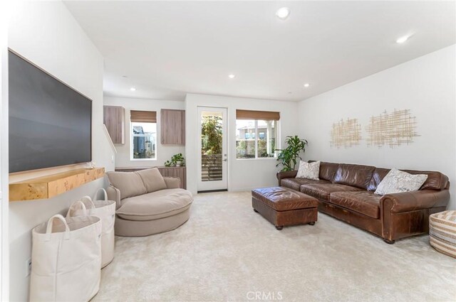 living room with light carpet