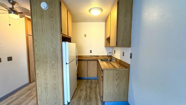 kitchen with ceiling fan, sink, light hardwood / wood-style flooring, white refrigerator, and a textured ceiling