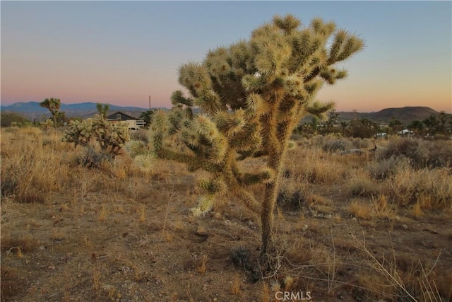 Listing photo 3 for 7635 La Contenta Rd, Joshua Tree CA 92284