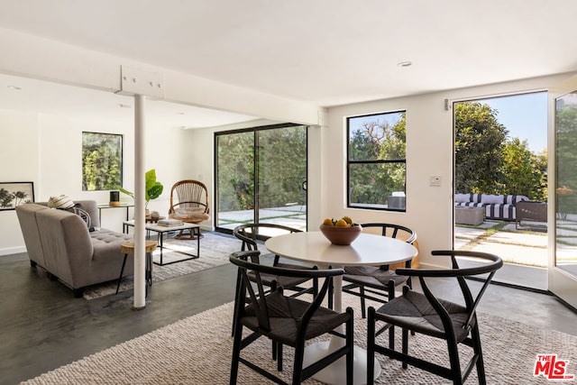 dining room featuring a healthy amount of sunlight