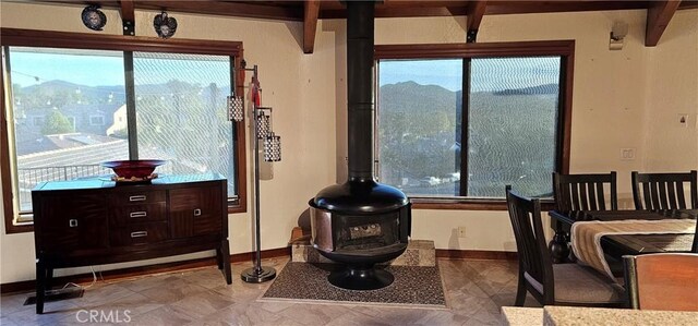 sitting room featuring a mountain view, a healthy amount of sunlight, and a wood stove