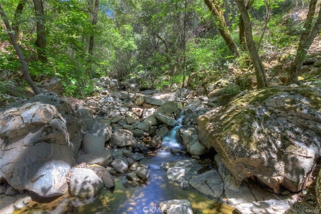 view of local wilderness