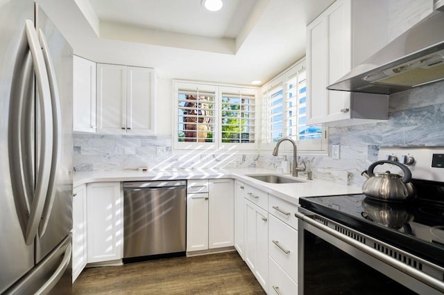 kitchen featuring a raised ceiling, sink, white cabinetry, appliances with stainless steel finishes, and wall chimney exhaust hood