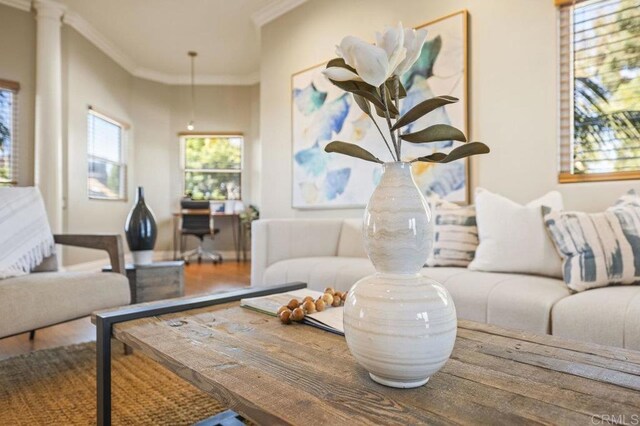 living room with wood-type flooring and crown molding