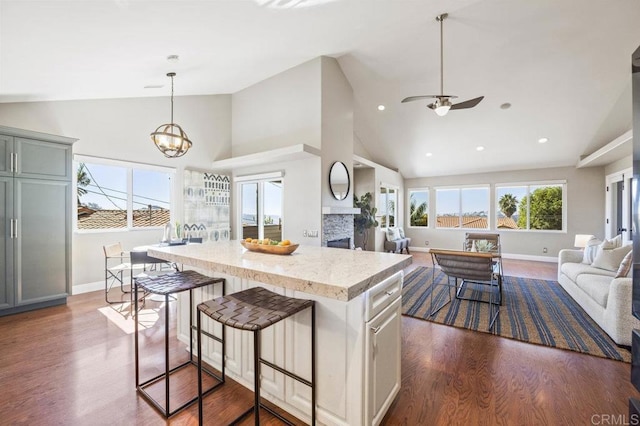 kitchen with dark wood-type flooring, plenty of natural light, a center island, and a stone fireplace