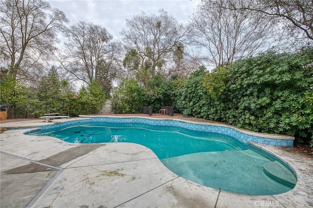 view of pool featuring a patio area and a diving board