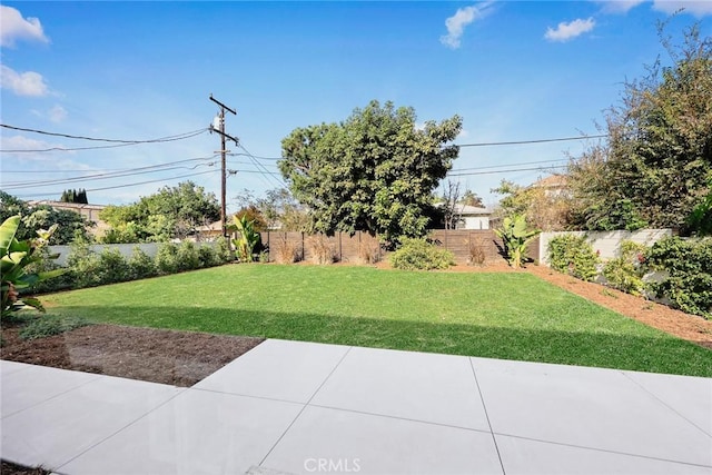 view of yard featuring a patio area