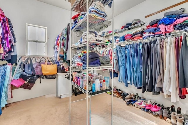 walk in closet featuring carpet floors