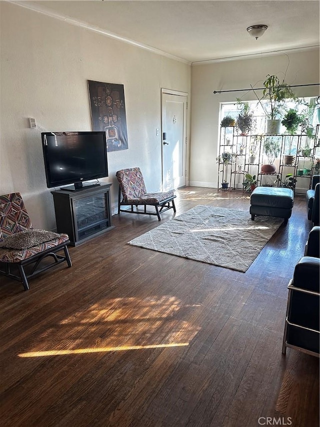 living area with ornamental molding and wood finished floors