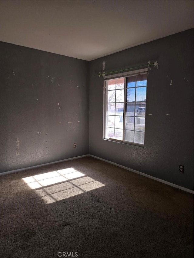 spare room with carpet floors