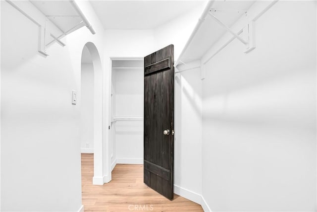 walk in closet with light wood-type flooring