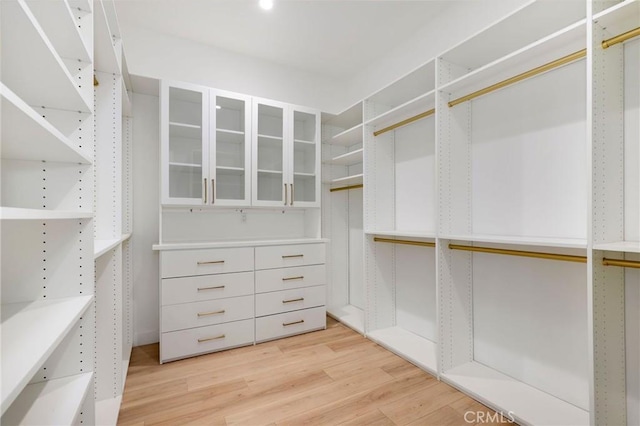 spacious closet with light wood-type flooring